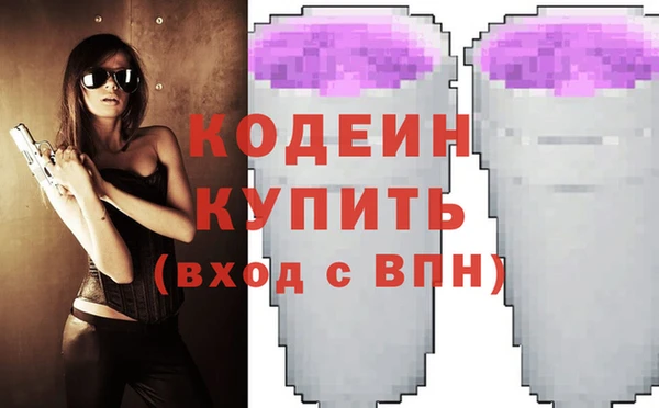 дурь Инта
