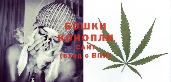 дурь Инта