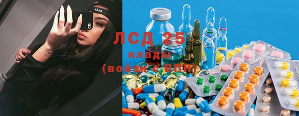 эйфоретик Инсар